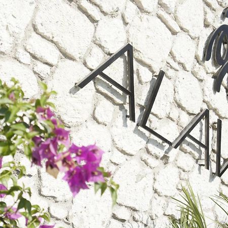 Alavya Ξενοδοχείο Αλακάτι Εξωτερικό φωτογραφία